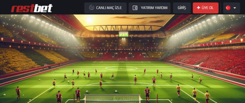 Bu Siteye Erişim Engellendi Hatası Nedir?